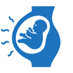OB/GYN